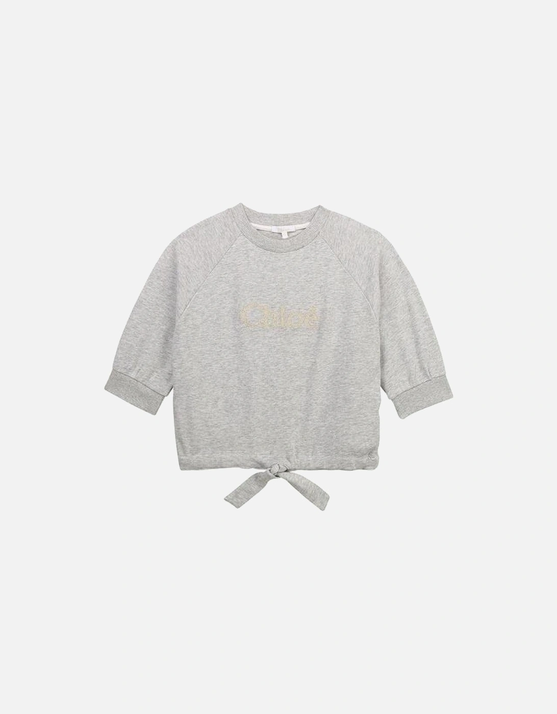 Girls Grey Cropped Logo Sweatshirt, 2 of 1