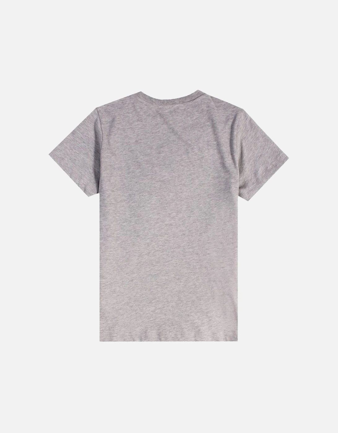 Boys Spider Logo T-Shirt Grey