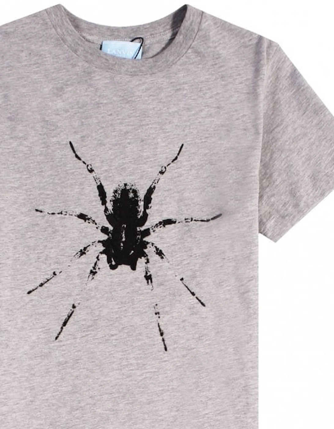 Boys Spider Logo T-Shirt Grey