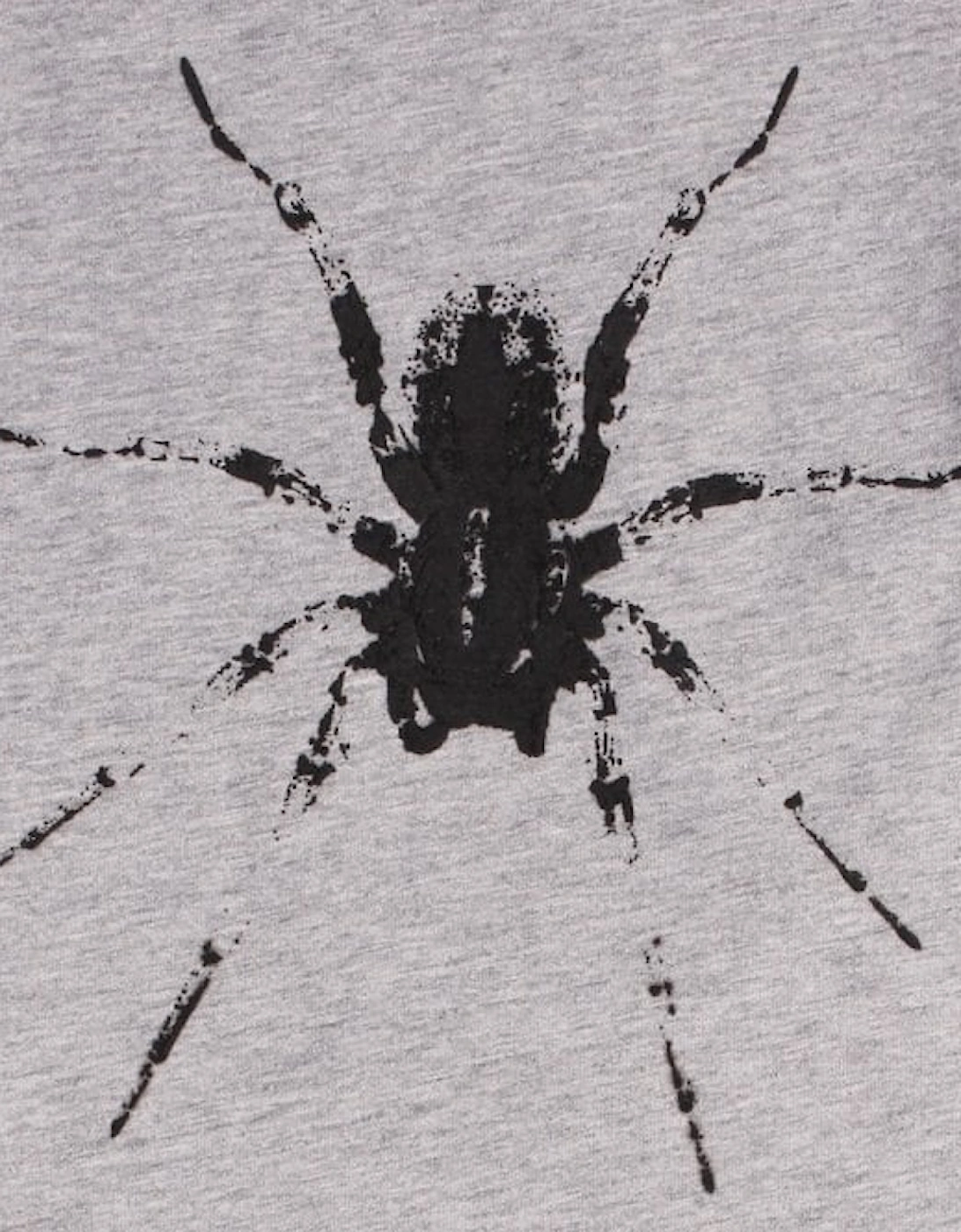 Boys Spider Logo T-Shirt Grey