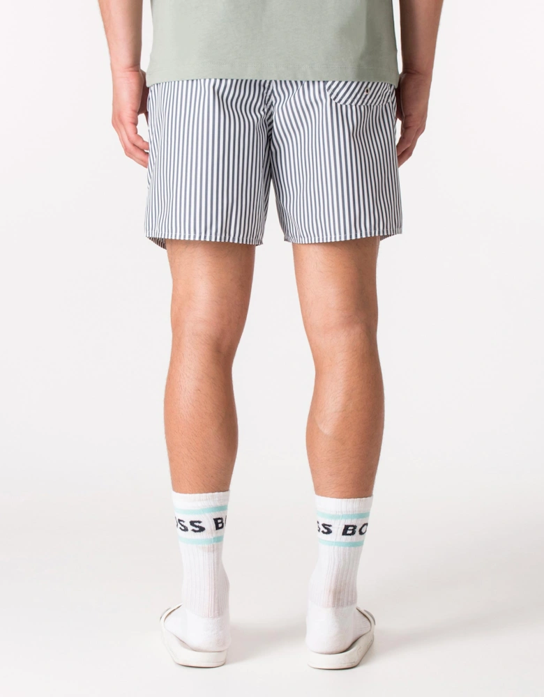 Regular Fit Striped Swim Shorts