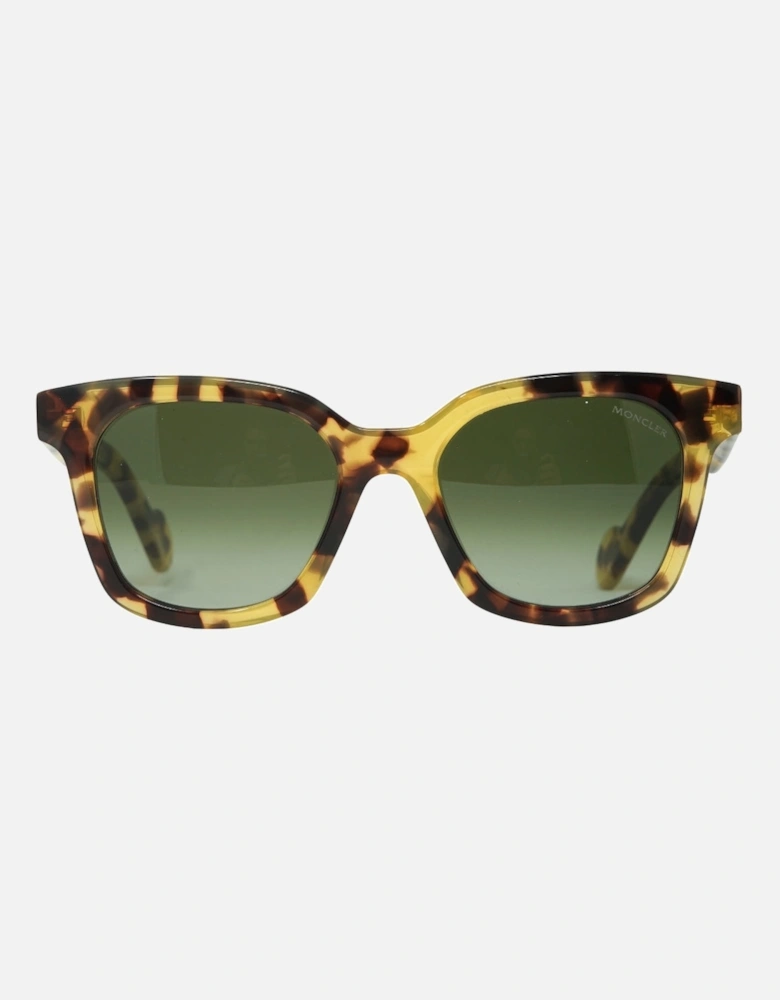 ML0040 55Q Sunglasses