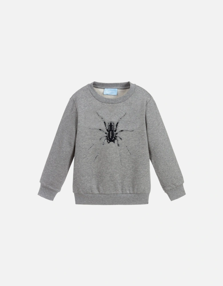 Paris Boys Spider Sweatshirt Grey