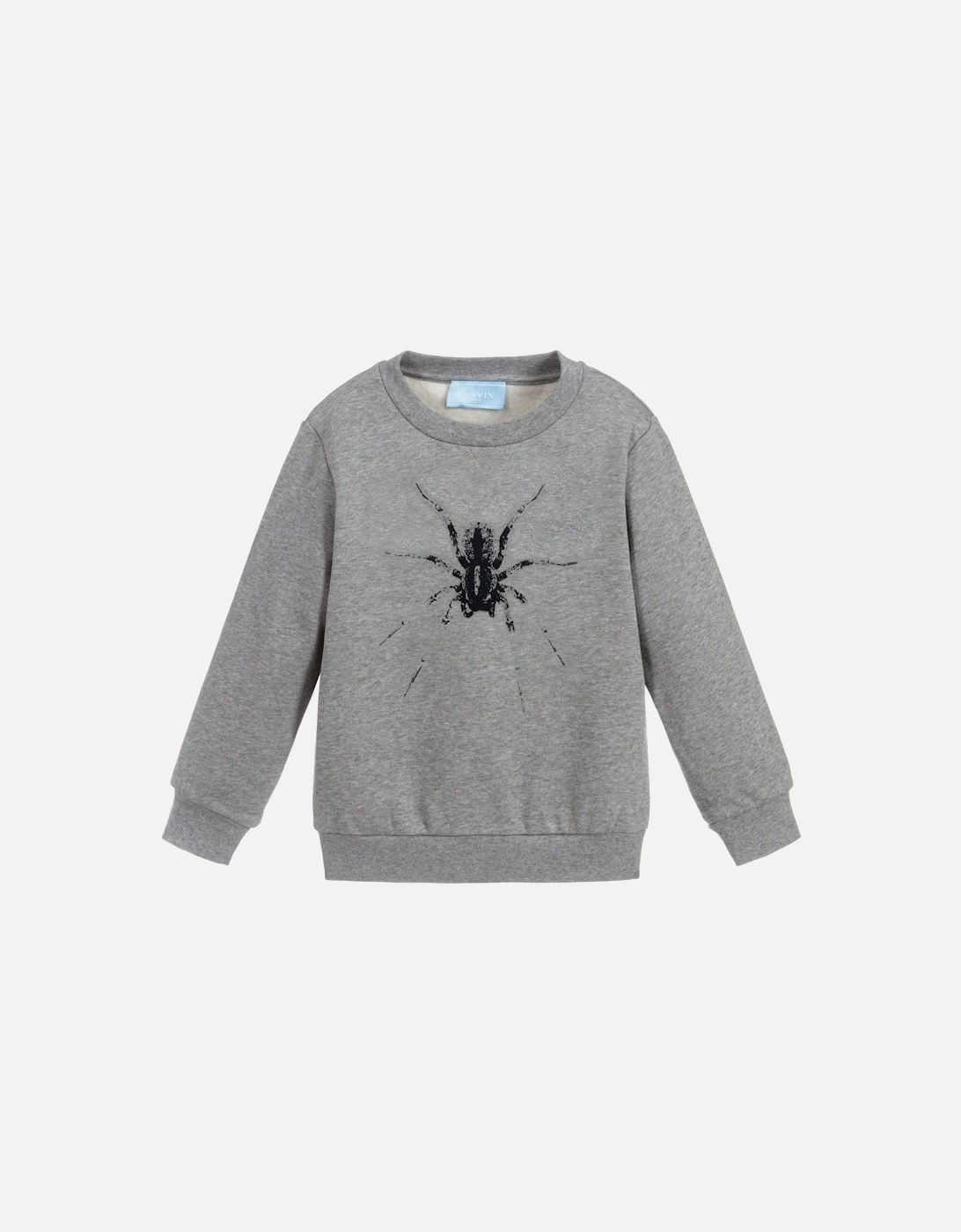 Paris Boys Spider Sweatshirt Grey, 5 of 4