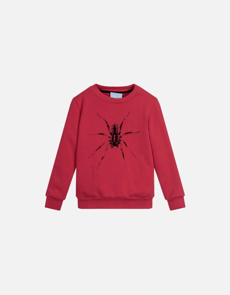 Paris Boys Spider Sweatshirt Burgundy