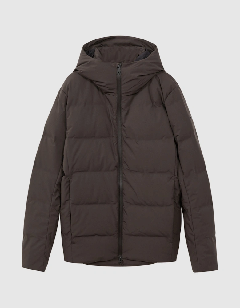 Scandinavian Edition Hooded Puffer Jacket