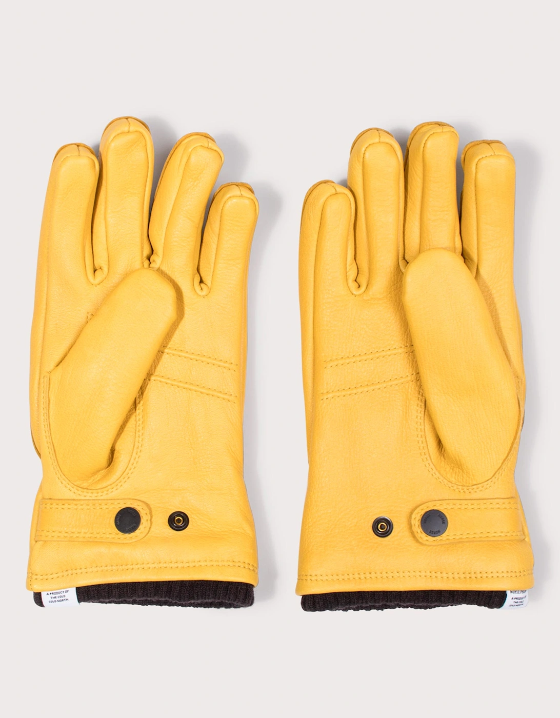 Norse x Hestra Utsjo Gloves