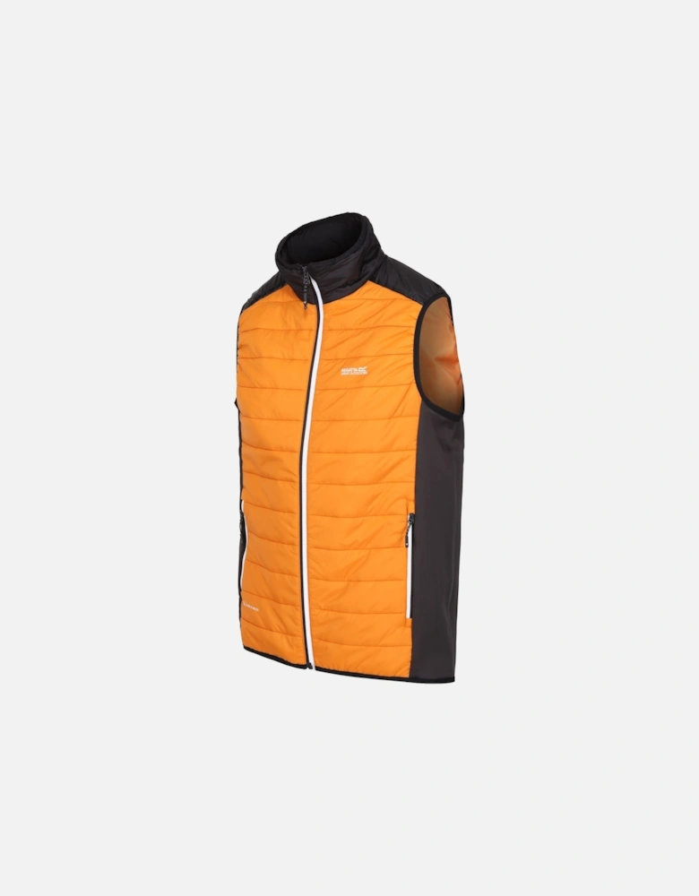 Mens Halton VII Padded Gilet