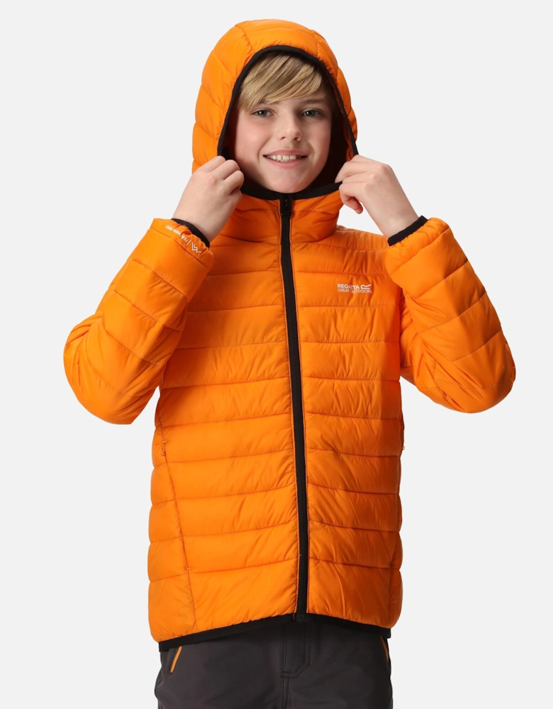 Childrens/Kids Marizion Hooded Padded Jacket