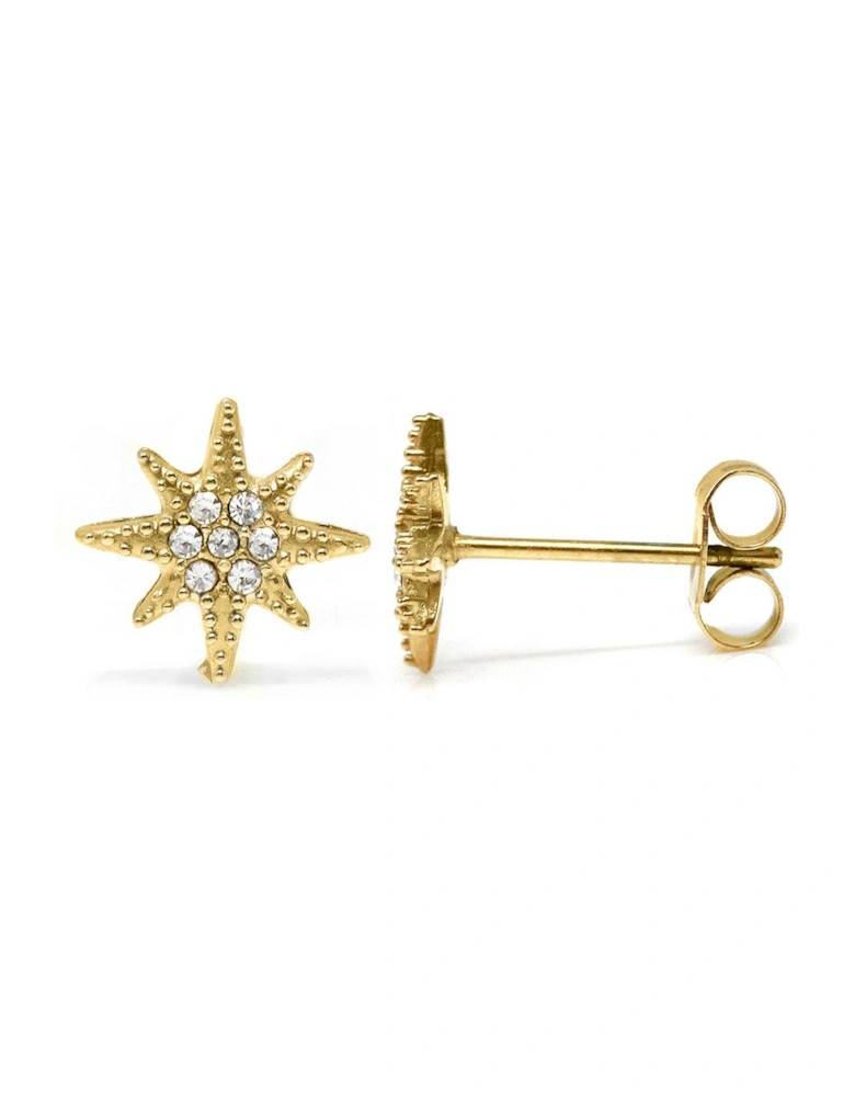 Gold star stud earrings