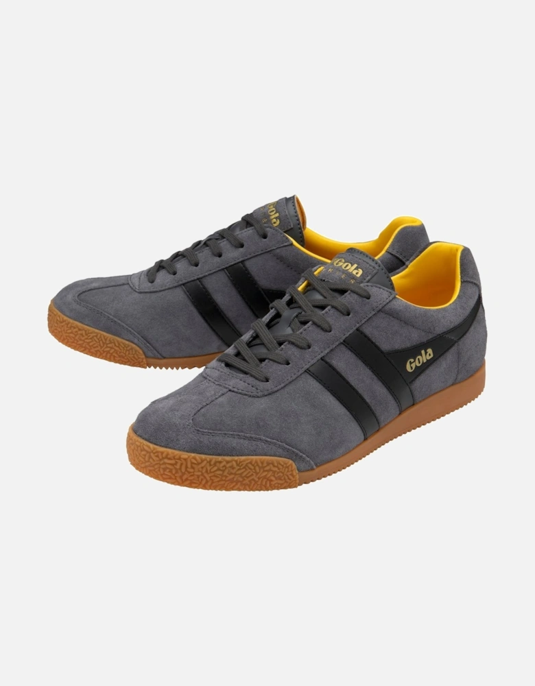 Harrier Suede Mens Casual Trainers