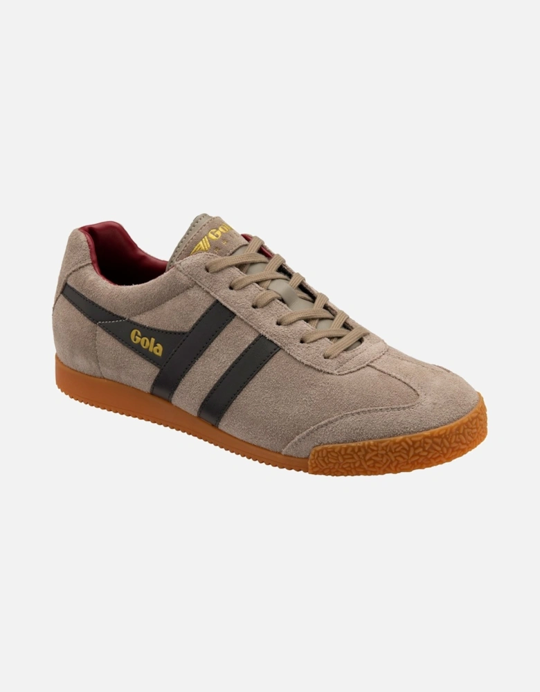 Harrier Mens Trainers