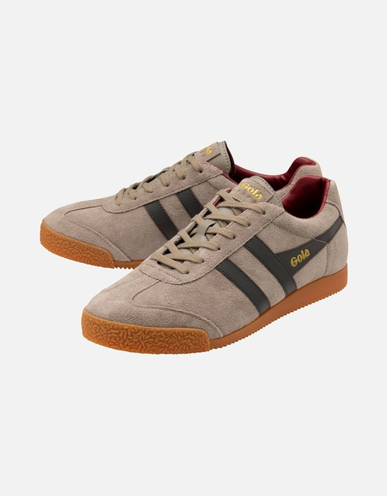 Harrier Mens Trainers