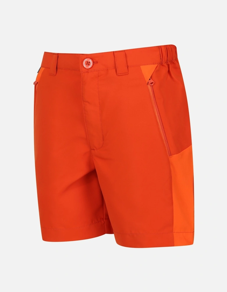 Childrens/Kids Sorcer Mountain III Shorts