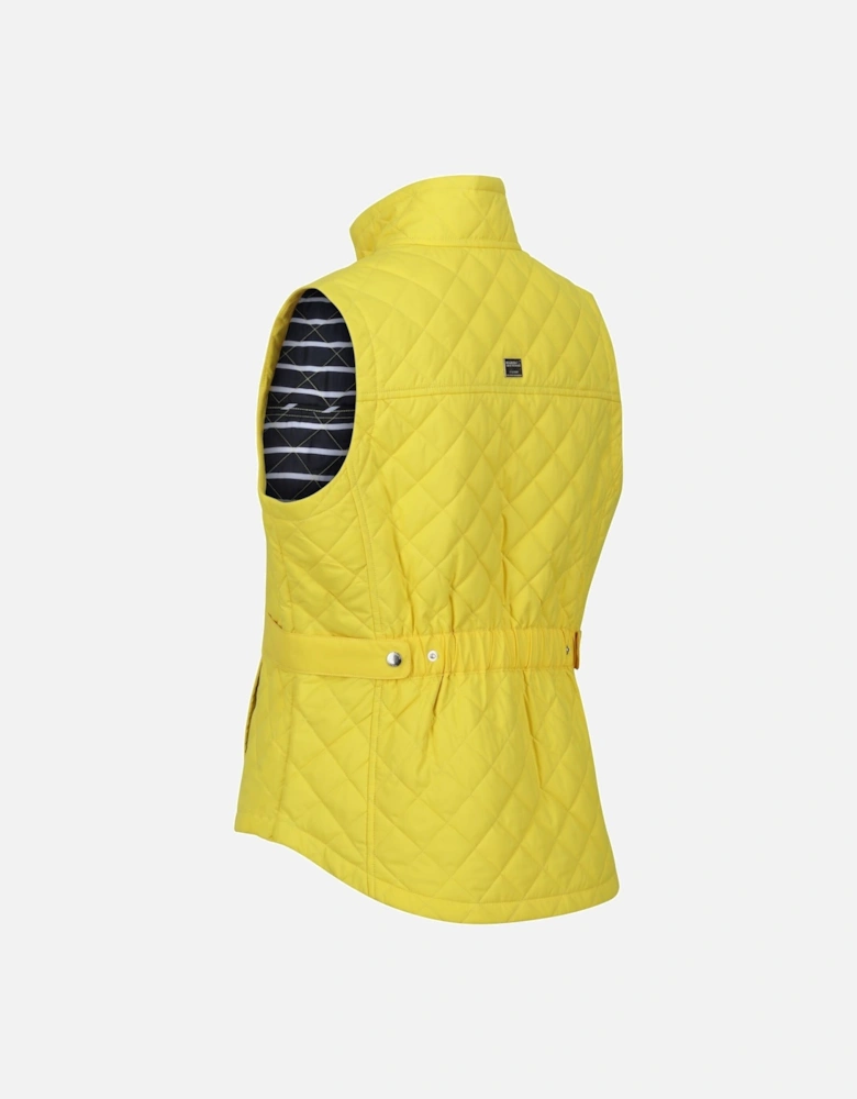 Womens/Ladies Carmine Gilet