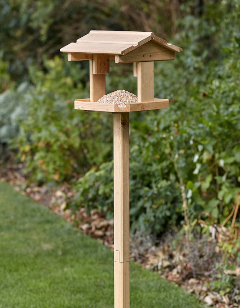 Everyday Bird Table