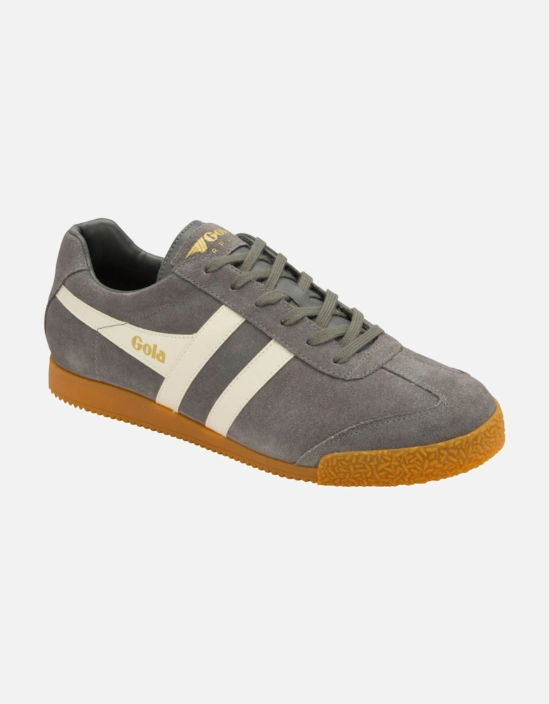 Harrier Suede Mens Trainers