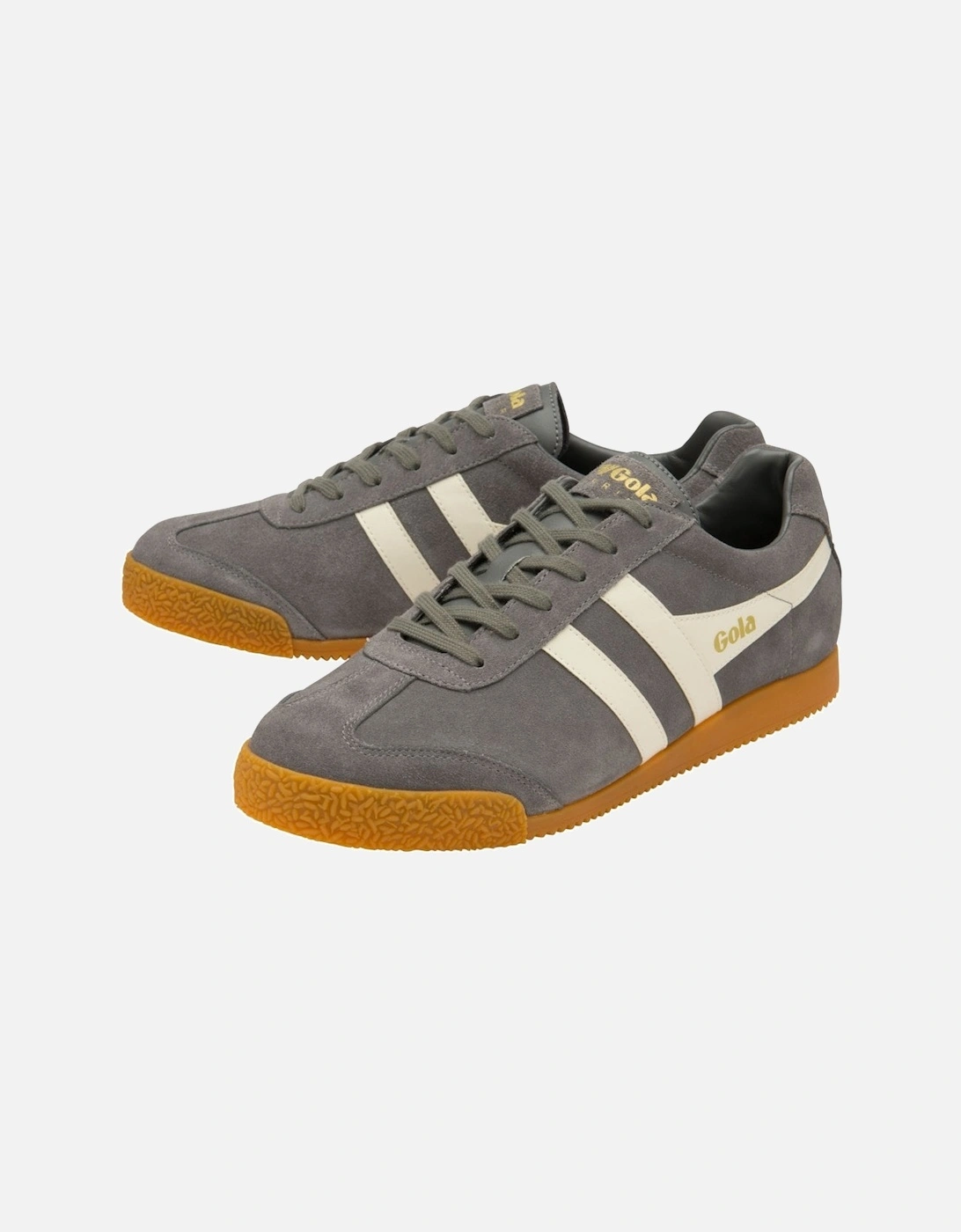 Harrier Suede Mens Trainers