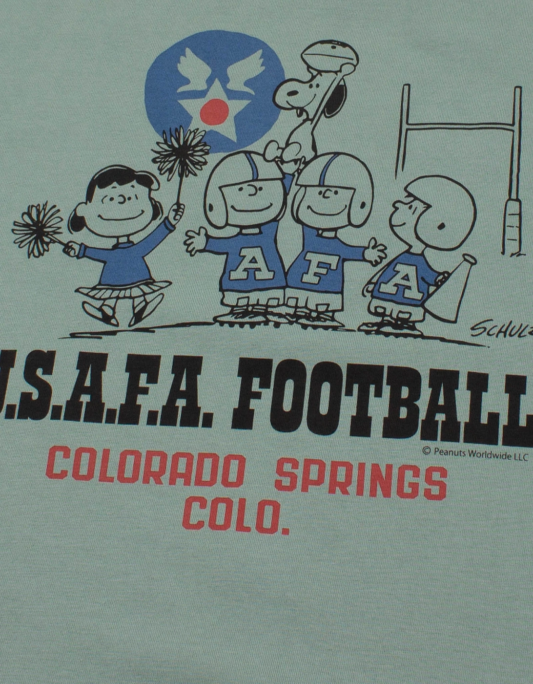 Peanuts ASAFA Football T-shirt - Sage