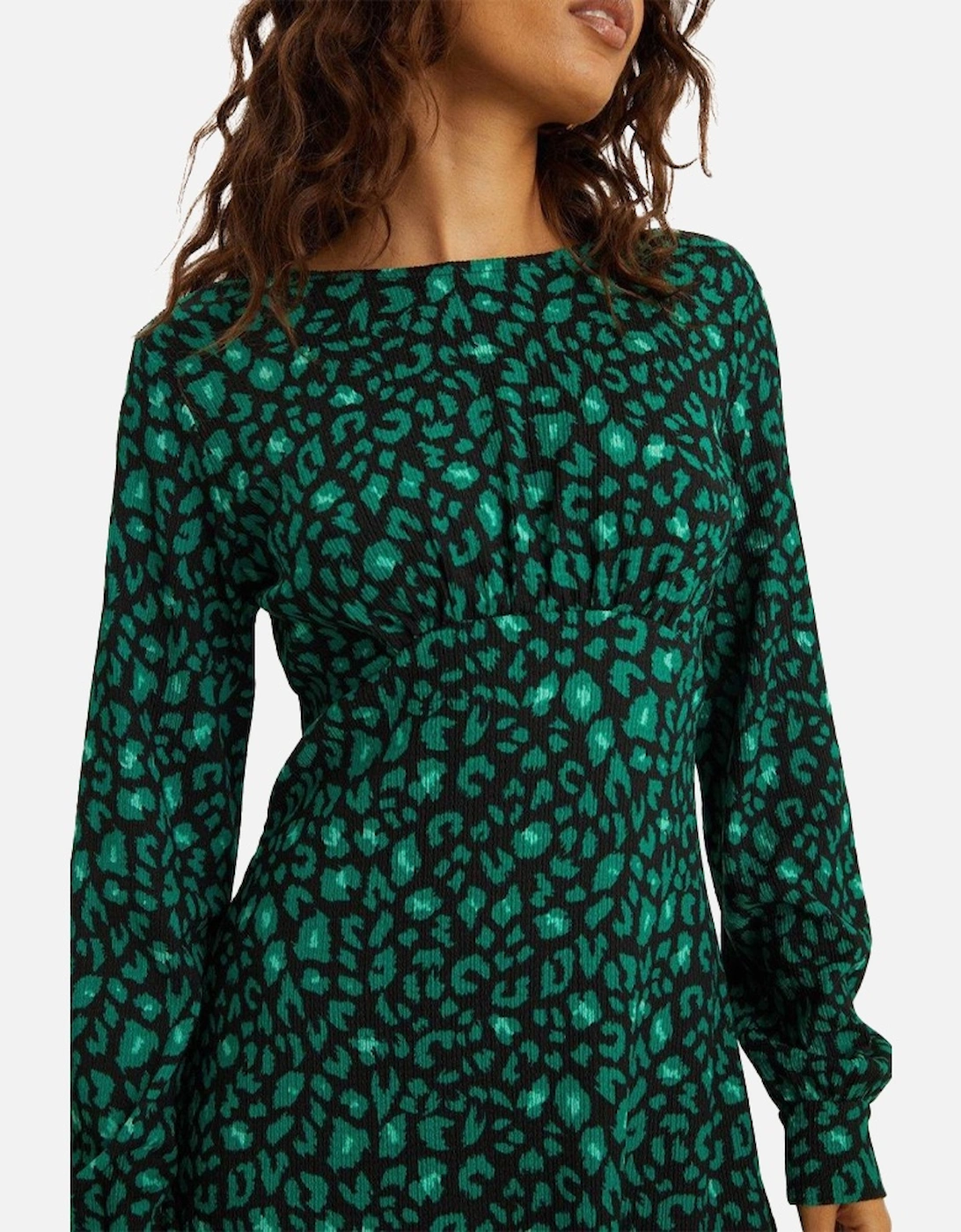 Womens/Ladies Leopard Print Frill Hem Petite Mini Dress