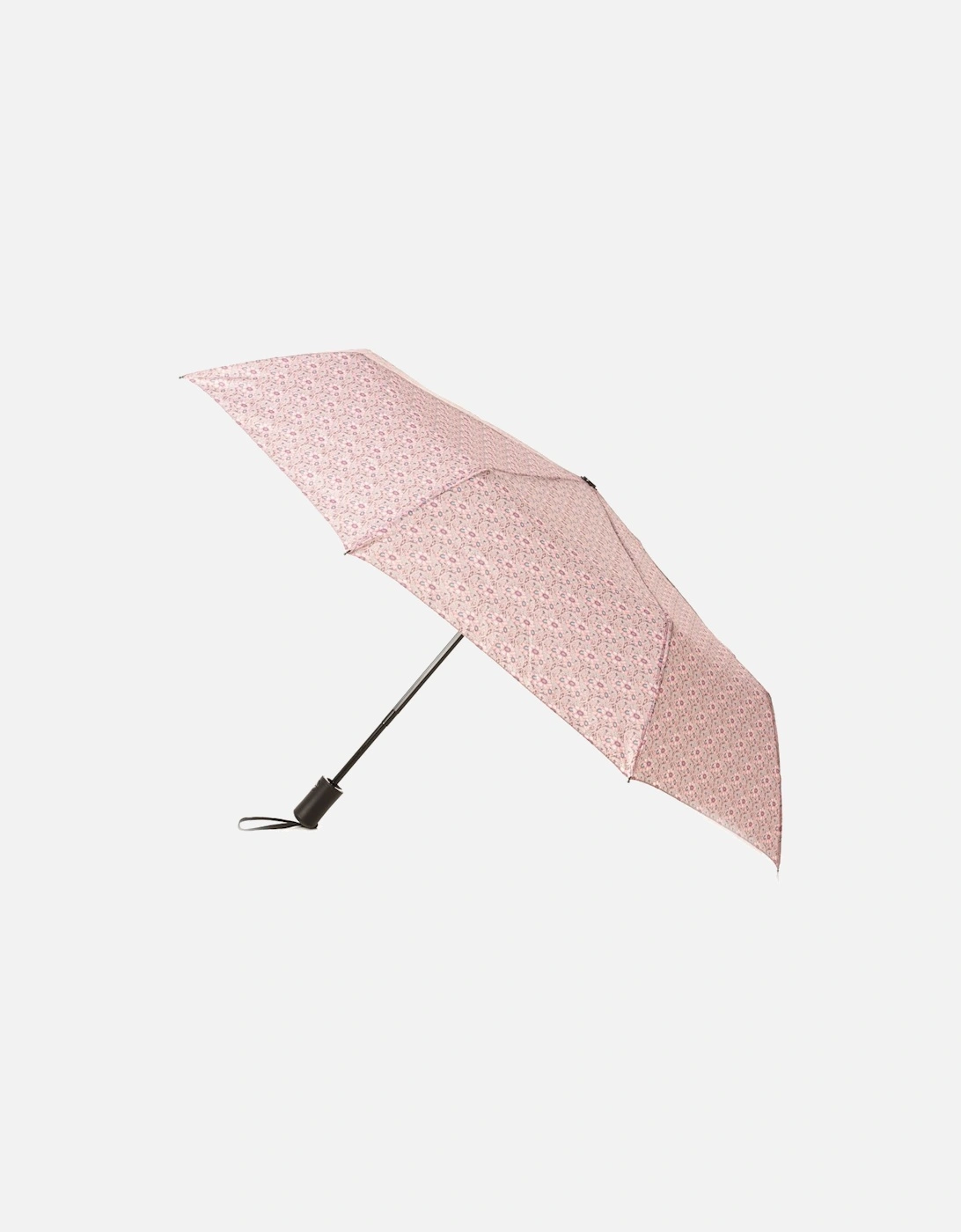 Public Anemone Umbrella, 2 of 1