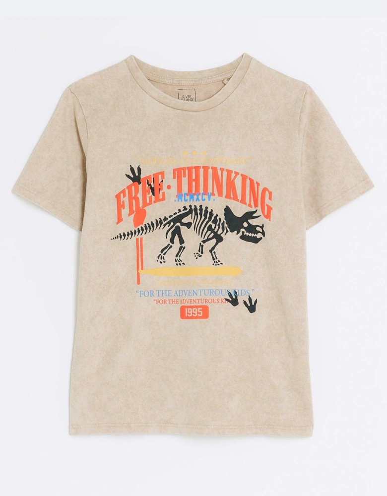 Boys Dinosaur Print T-Shirt - Beige