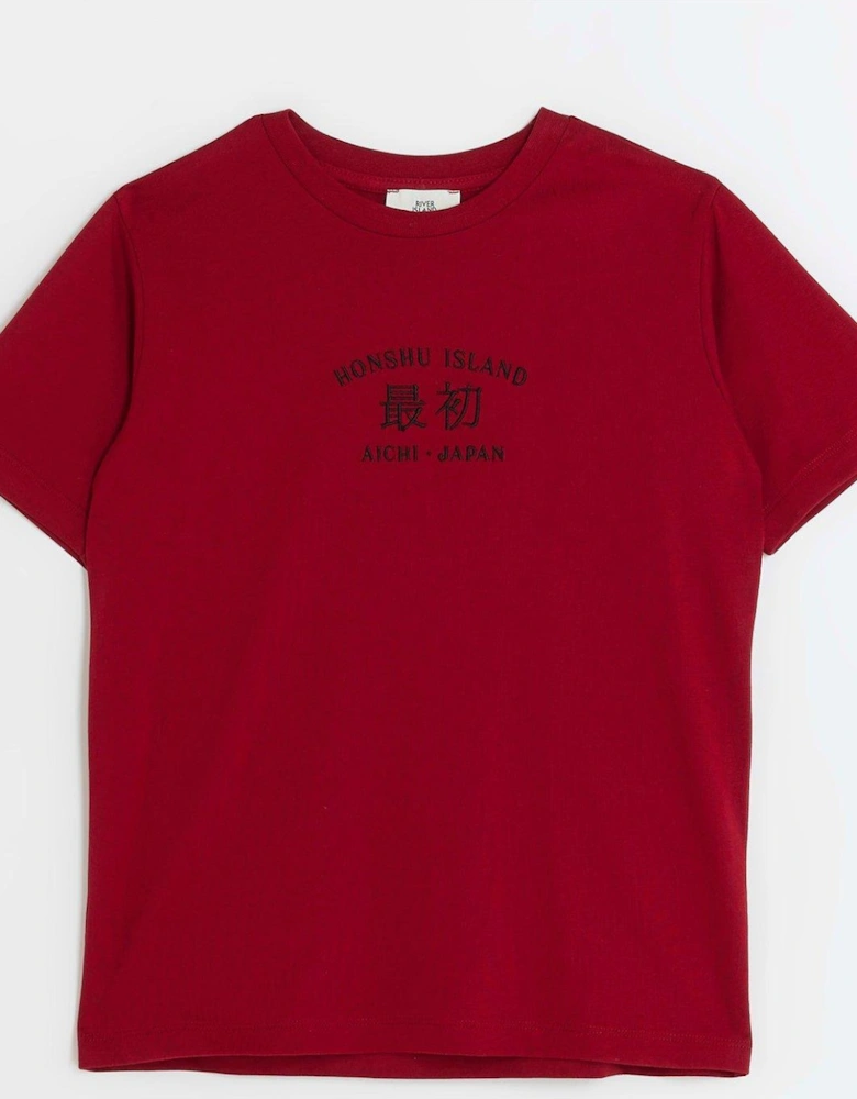 Boys Dragon Graphic T-Shirt - Red