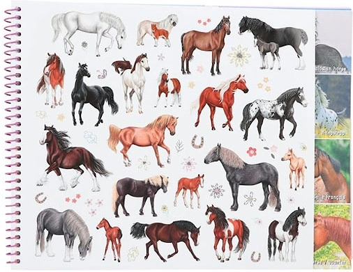 Horses Colouring Book