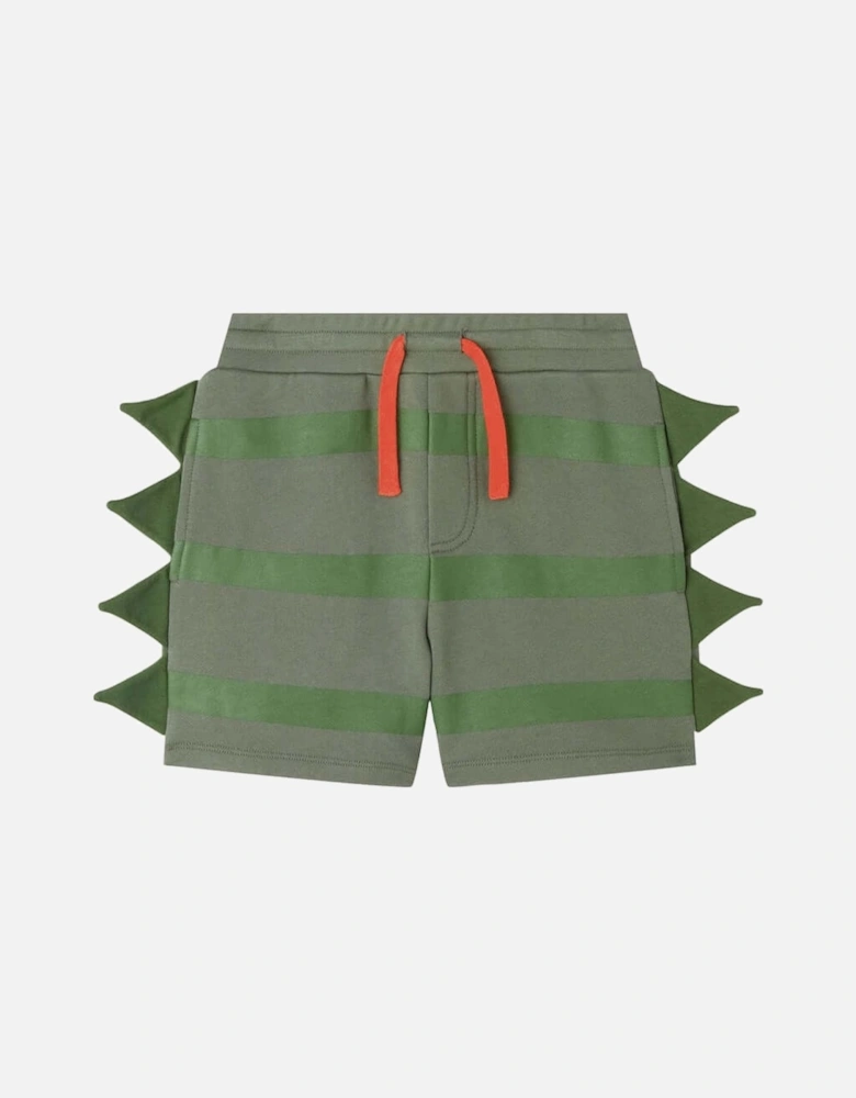 Boys Green Striped Cotton Shorts