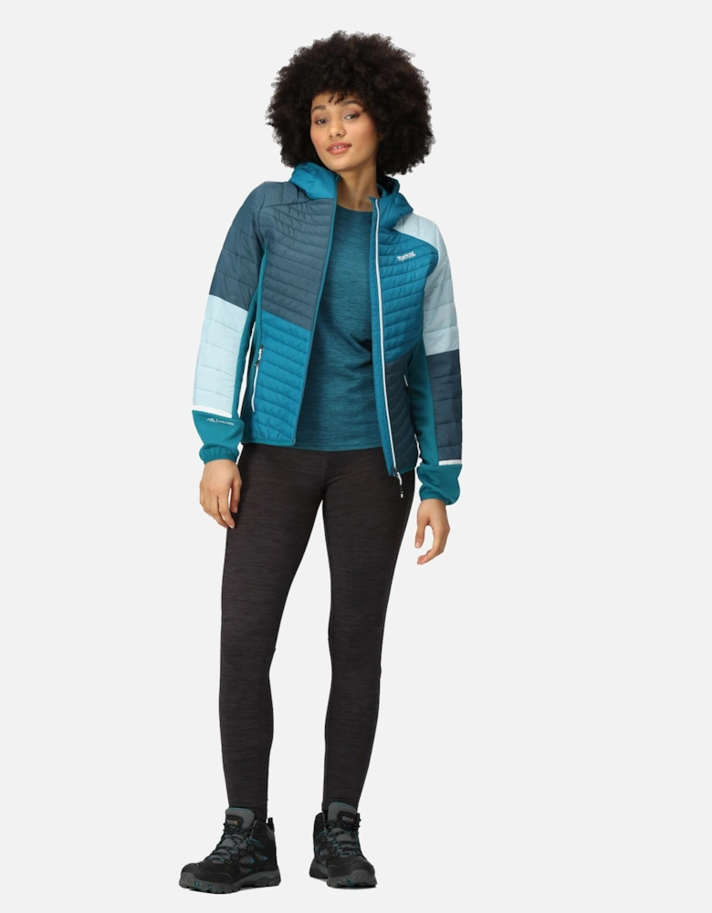 Womens/Ladies Trutton II Baffled Hooded Jacket