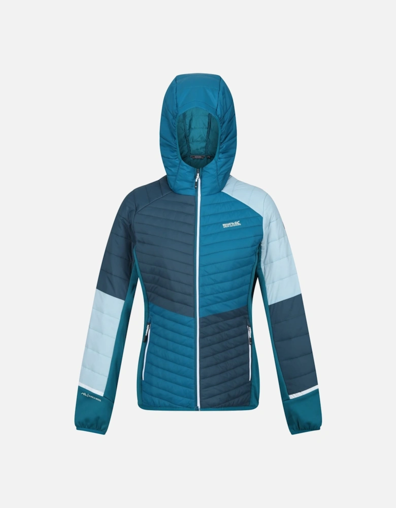 Womens/Ladies Trutton II Baffled Hooded Jacket