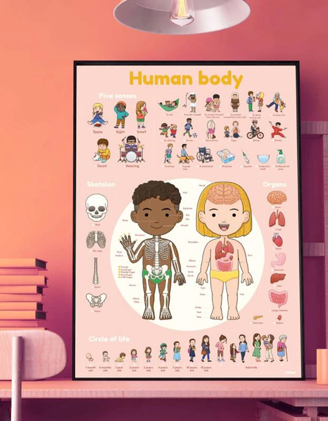 Human Body Discovery Stickers 67