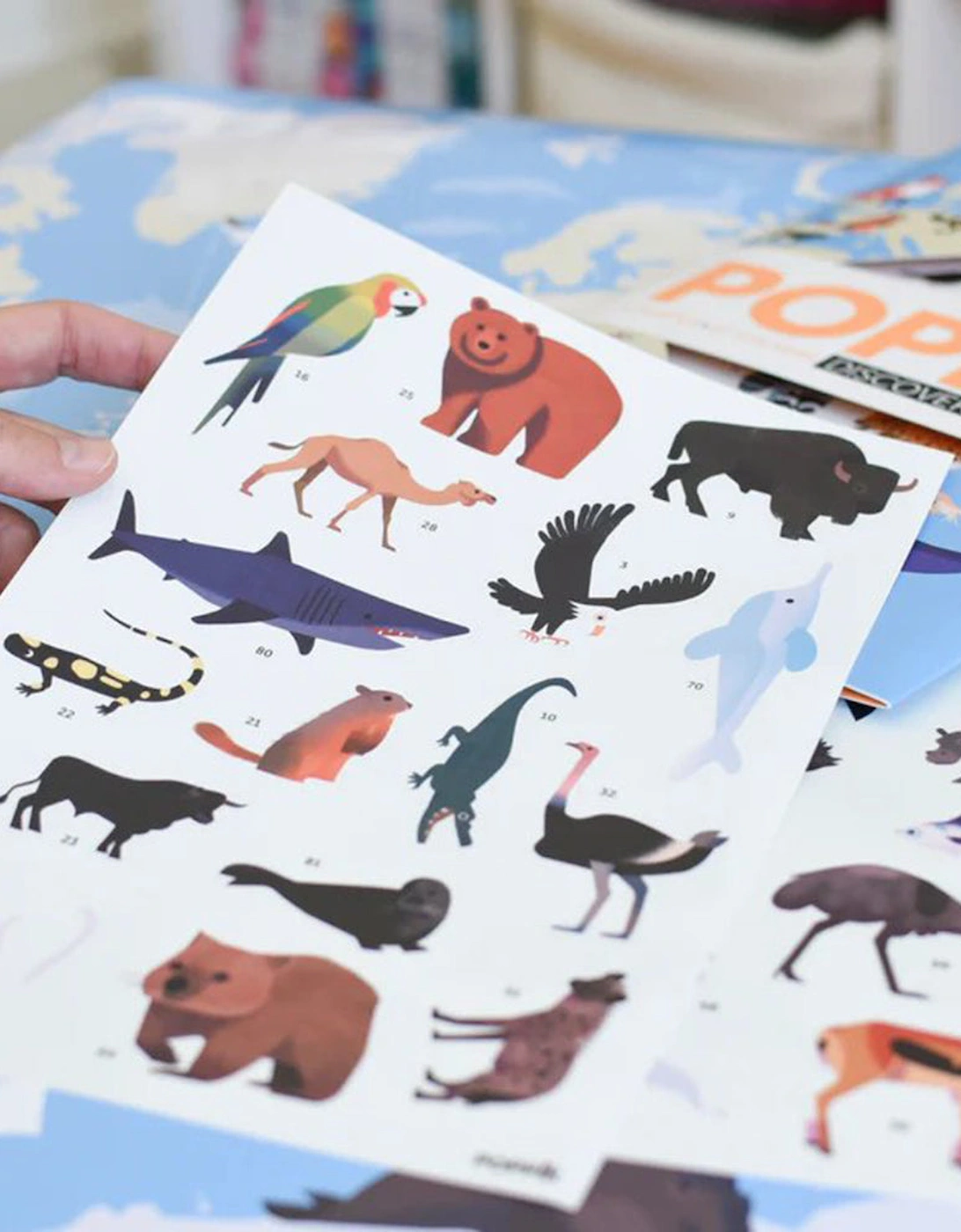 Animals Of The World Discovery Stickers 67