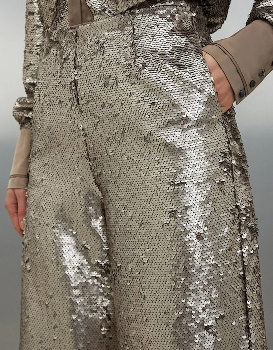 Sequin Woven Wide Leg Trousers