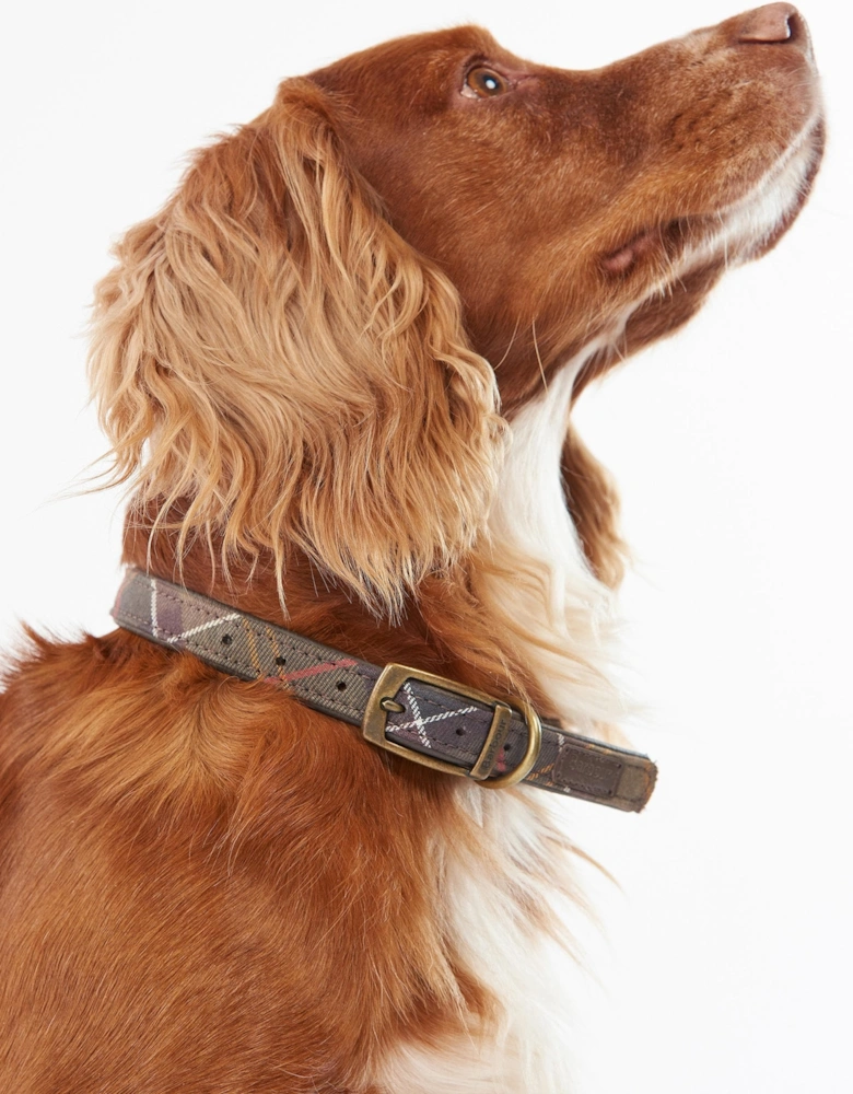 Tartan Dog Collar