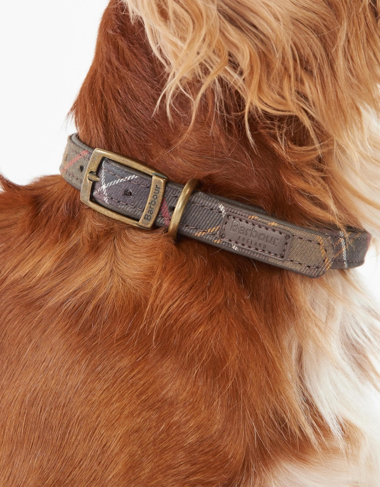 Tartan Dog Collar