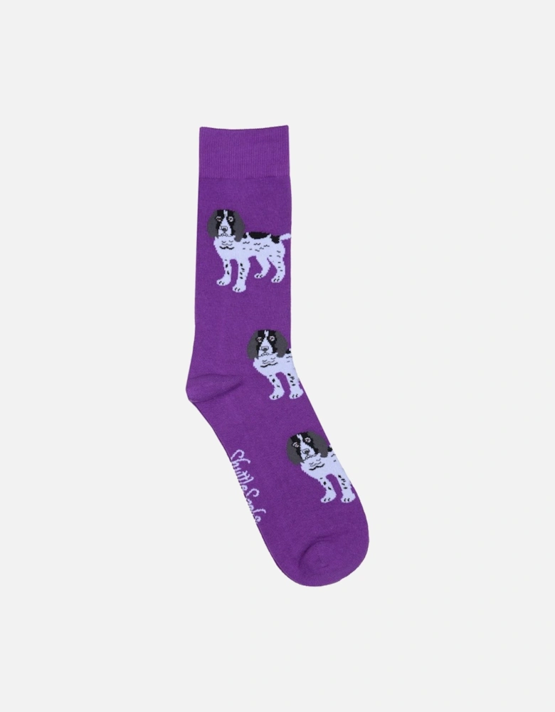 Spaniel Socks 8-12