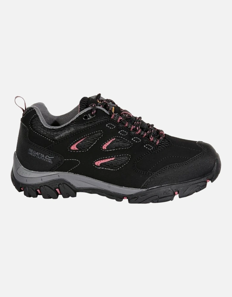 Womens/Ladies Holcombe IEP Low Hiking Boots