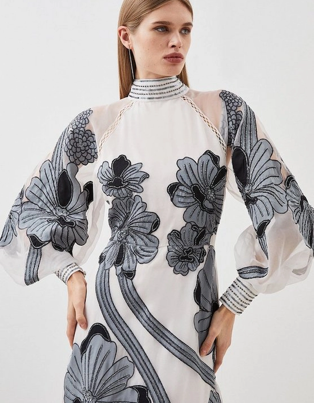 Petite Applique Organdie Floral Graphic Woven Maxi Dress