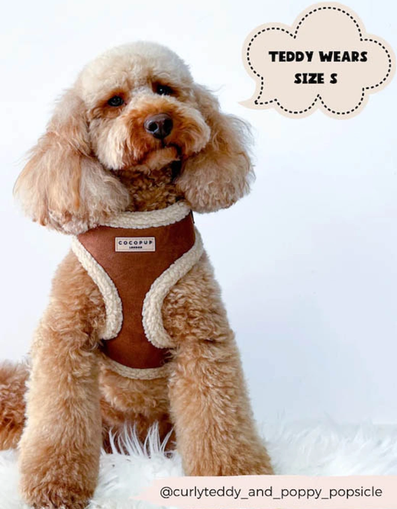 Brown Aviator Adjustable Neck Harness