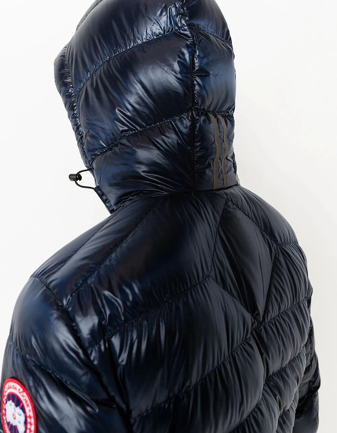 Crofton Padded Down Hooded Jacket in Navy