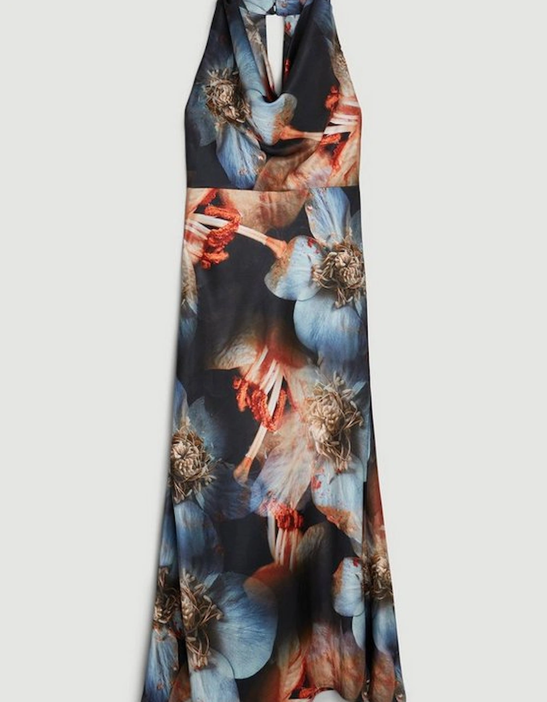 Tall Photographic Floral Woven Satin Maxi Dress