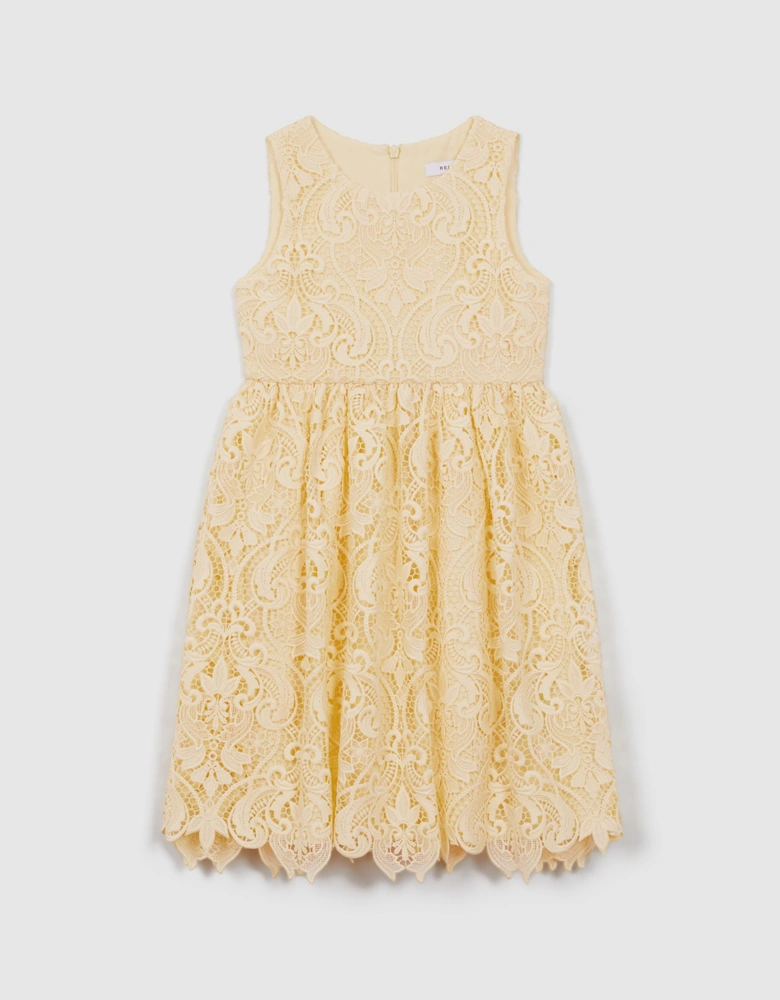 Fit-and-Flare Lace Dress