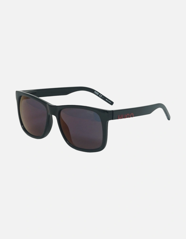 HG1068 0807 AO Black Sunglasses