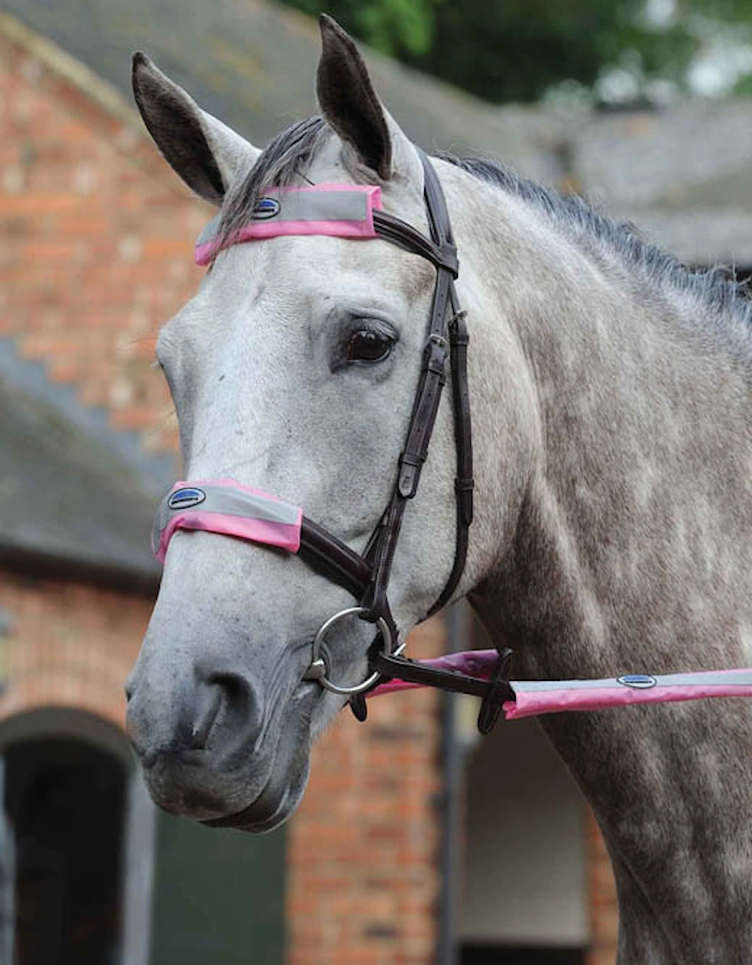 Reflective Bridle Kit 4 Piece Pink, 3 of 2