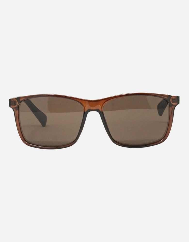 CK19568S 210 Brown Sunglasses