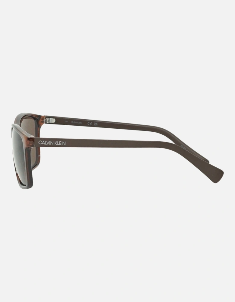 CK19568S 210 Brown Sunglasses