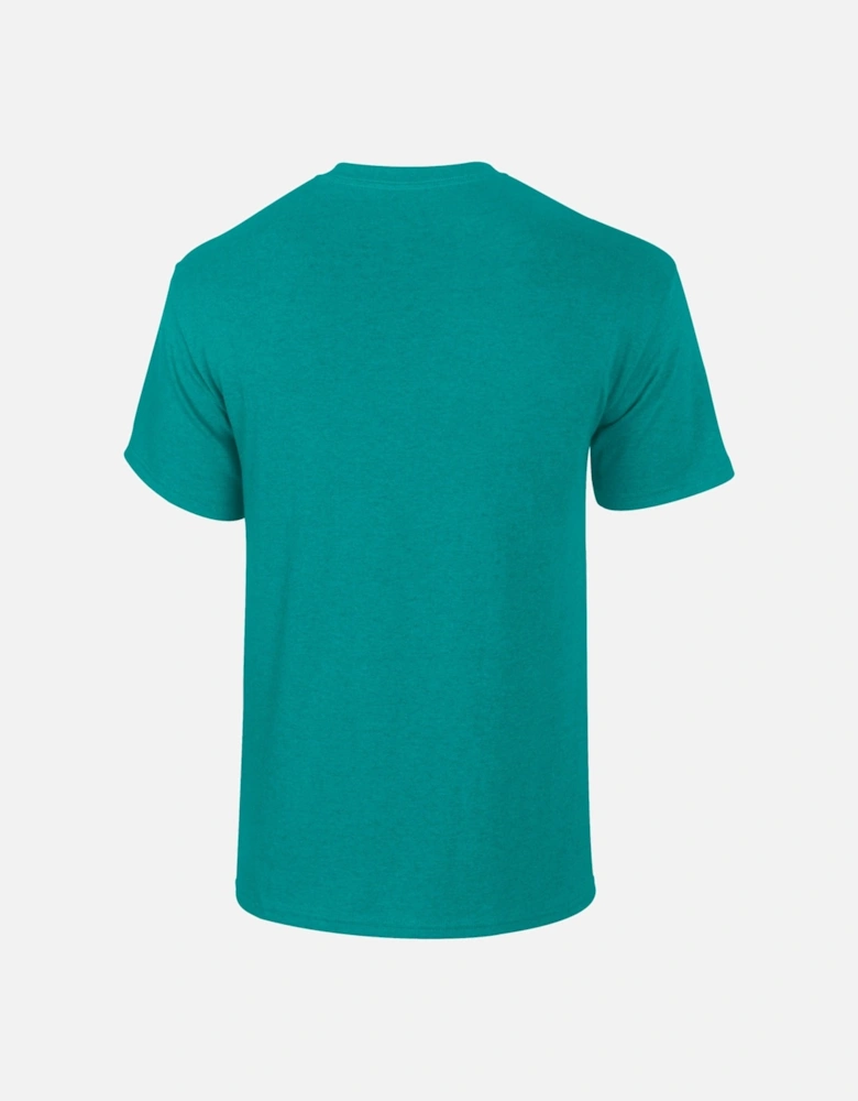 Unisex Adult Plain Cotton Heavy T-Shirt