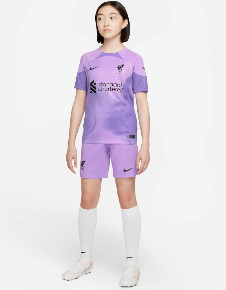 Liverpool F.C. 2022/23 Stadium Goalkeeper Older Kids' Dri-FIT Football Shorts - Lilac/Black