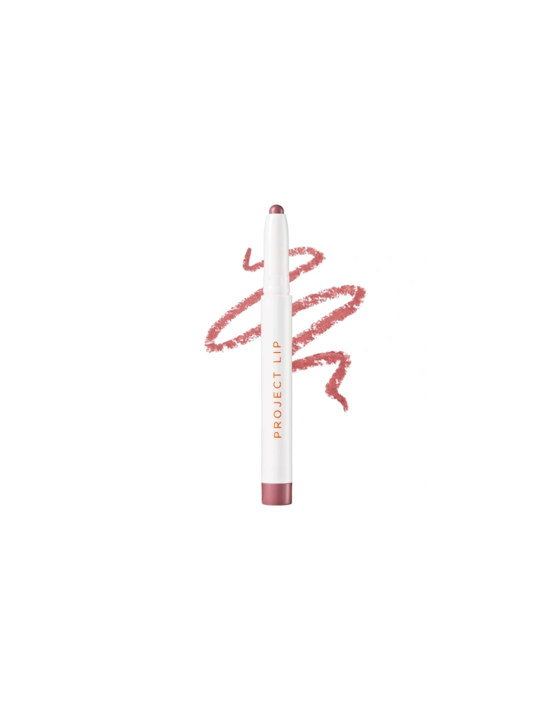 Plump and Fill Lip Liner - Chase